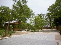 大通寺公園の写真1