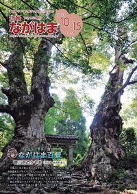 10月号表紙-菅山寺のケヤキ(余呉町坂口)