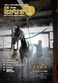 1月号表紙－三田馬事公苑の馬