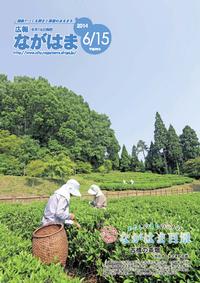 6月号表紙-古橋の茶畑