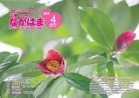 4月号表紙-水源の森で可憐に彩るユキバタツバキ