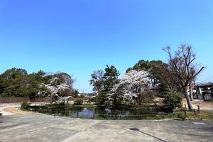 大通寺公園写真
