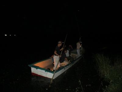 夜の早崎ビオトープ観察会「火ぶり漁を再現」のようす2