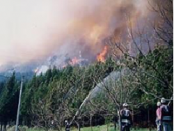 山火事の様子1