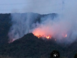 山火事の様子2