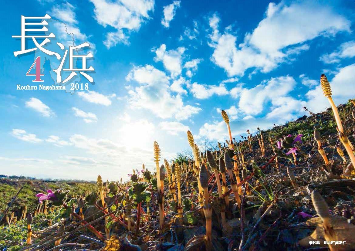 広報ながはま8月1日号