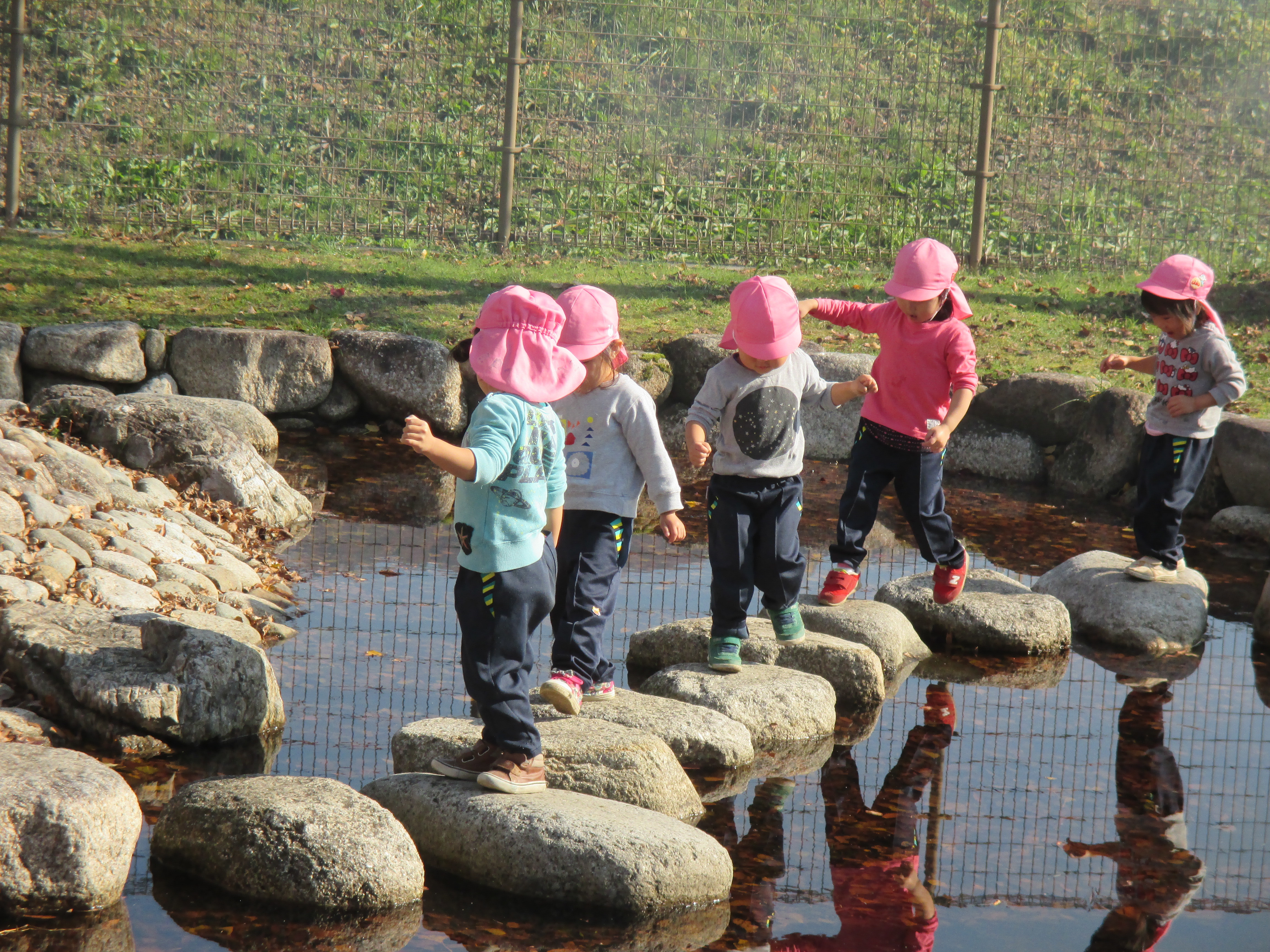 園庭池の飛び石を渡る園児の様子