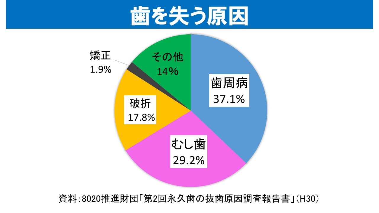 倉庫 お口からはじめましょう からだの健康