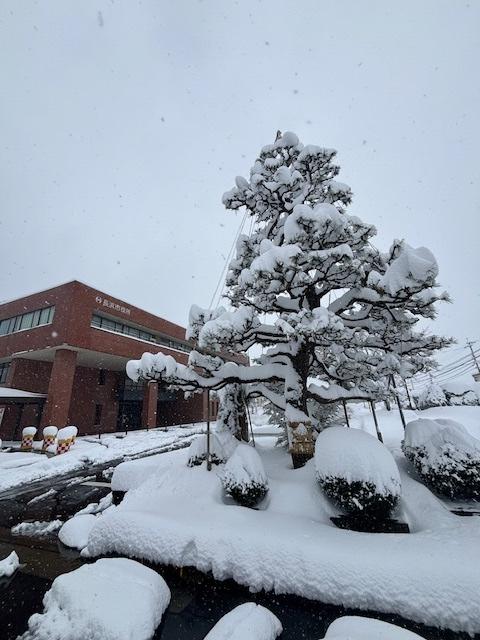 北部合同庁舎積雪情報