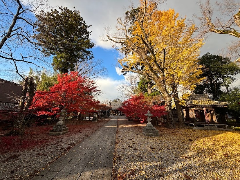 渡岸寺観音堂紅葉