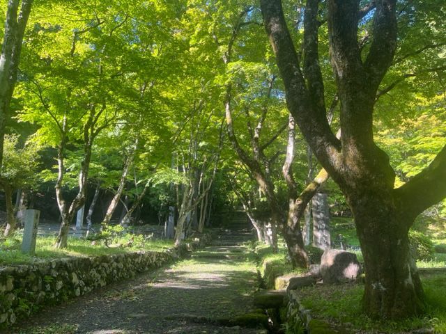 鷄足寺の青紅葉