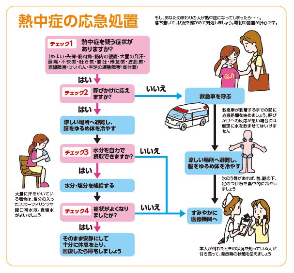 what to do