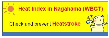 Heat index