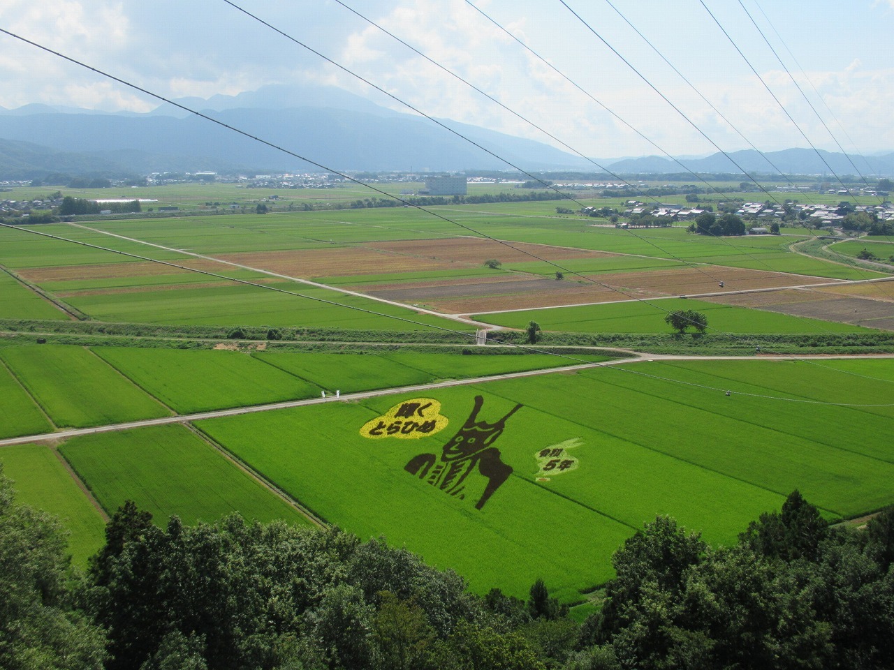 会場風景