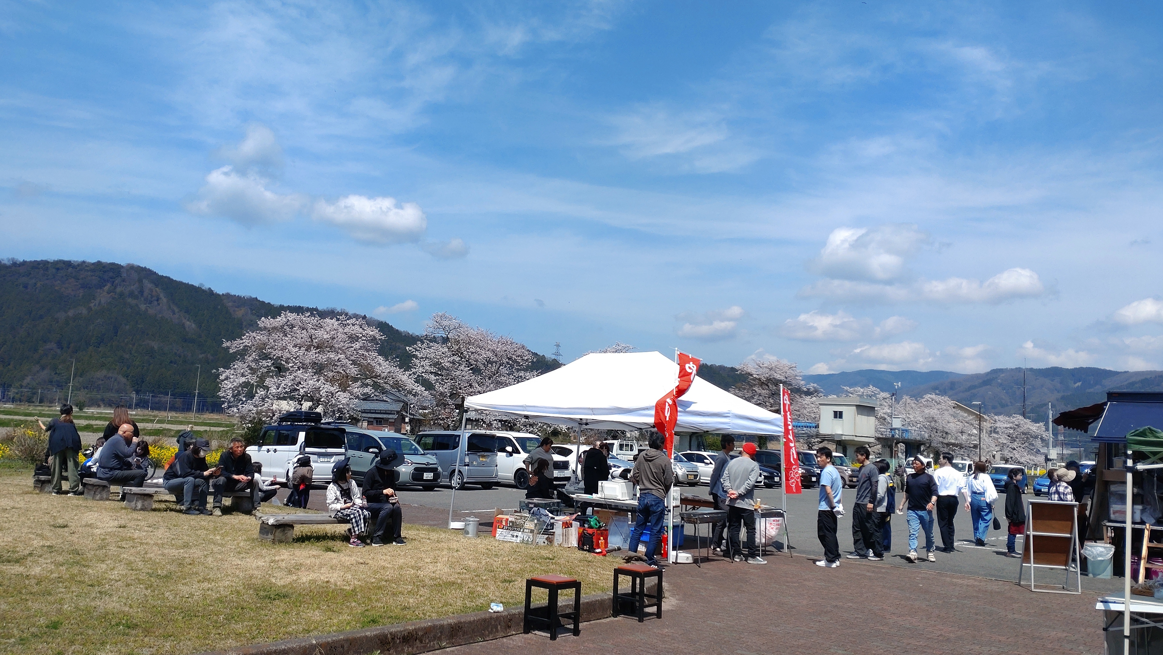桜祭り写真