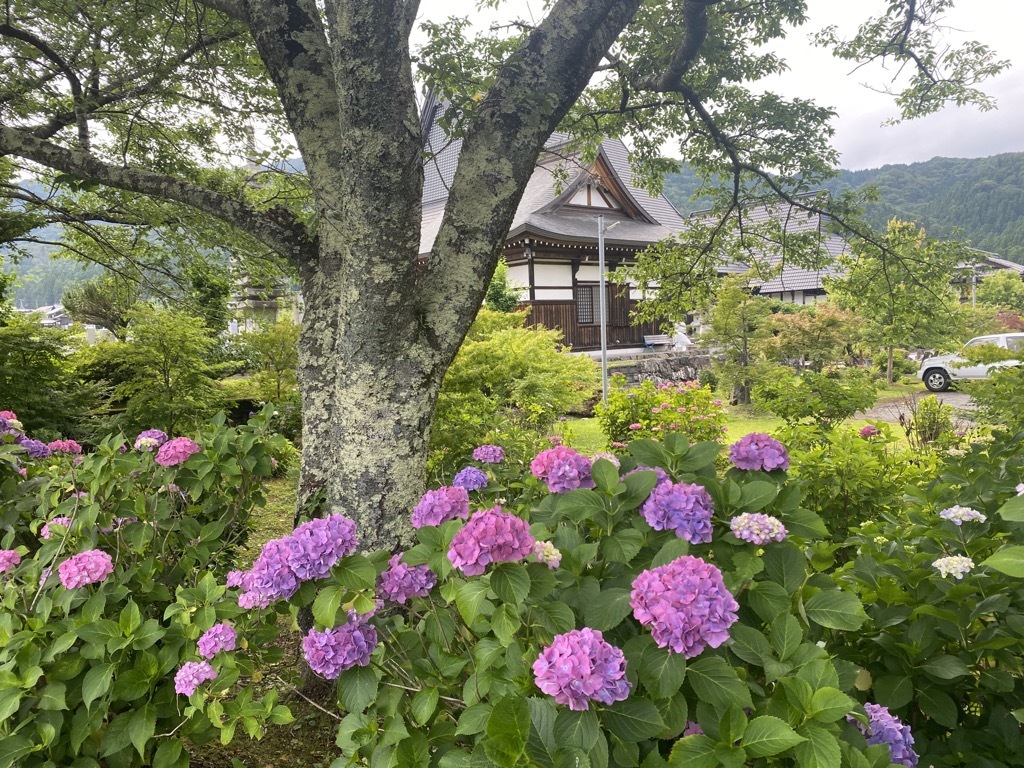 全長寺