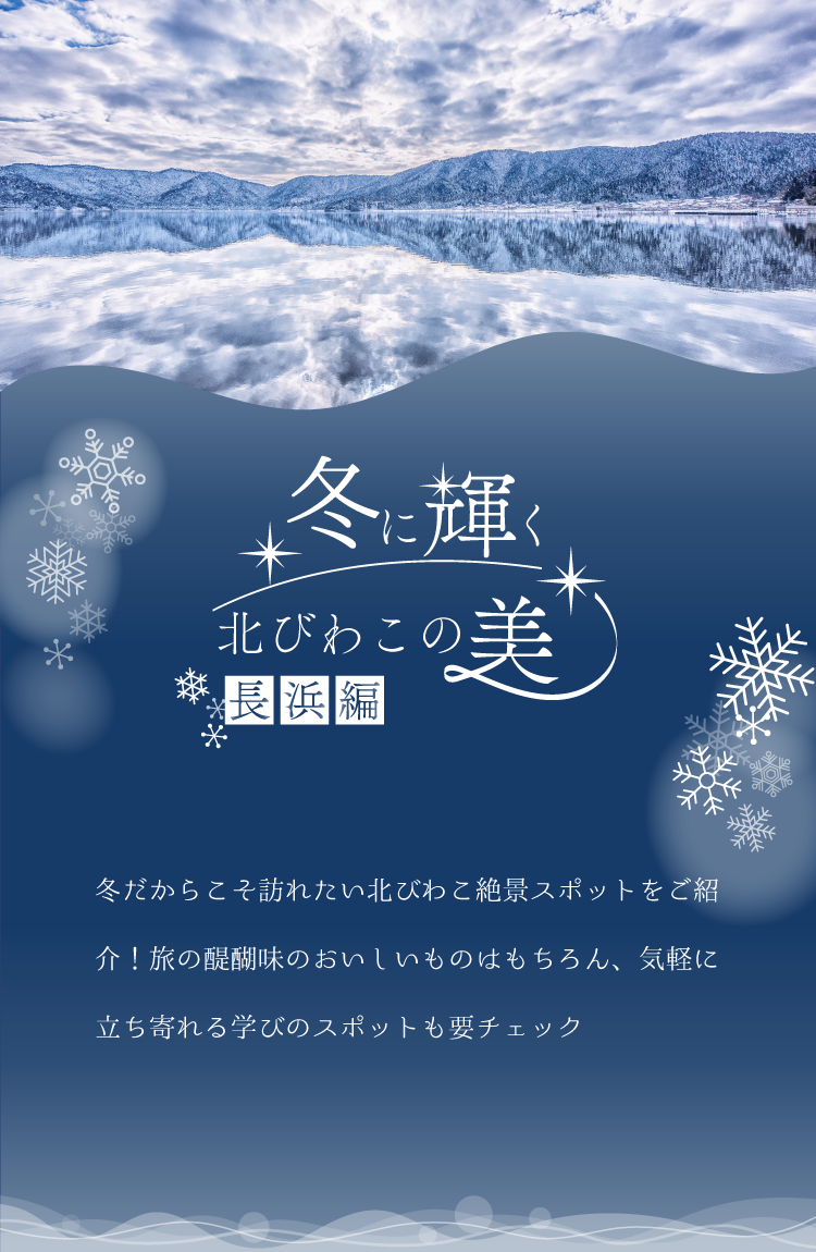 広告