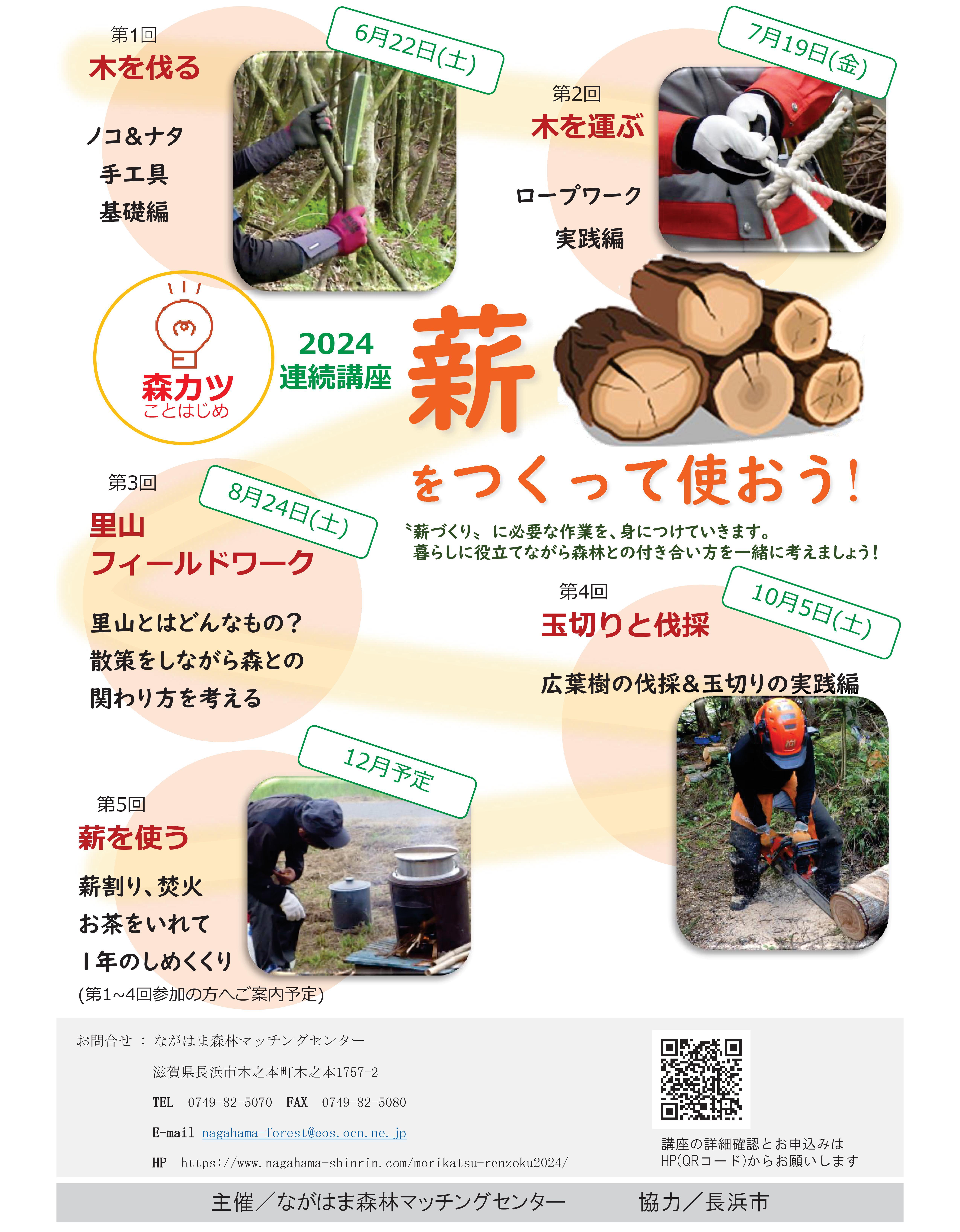 チラシの写真