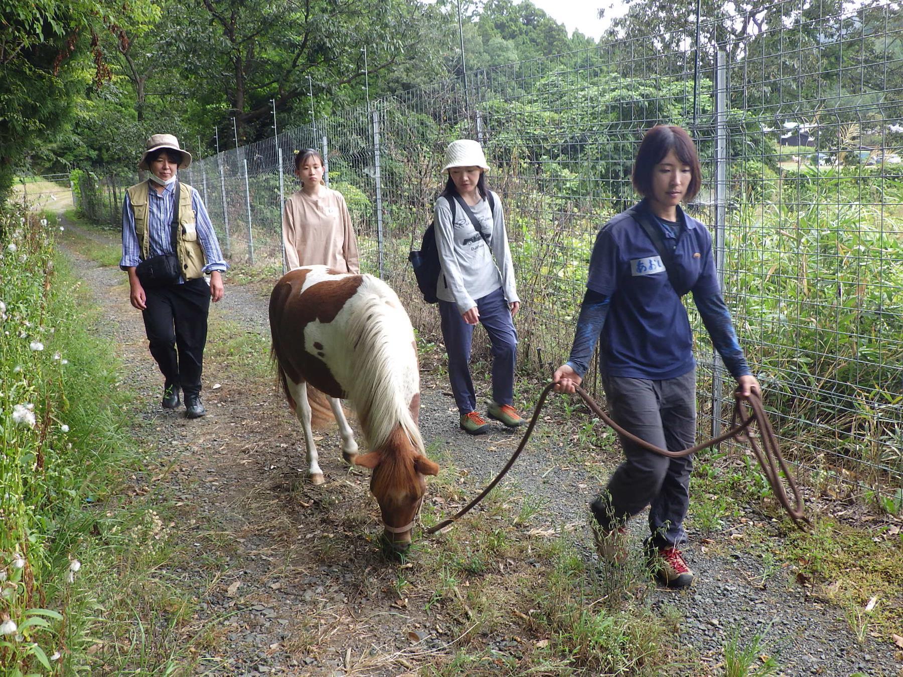 イベントの様子