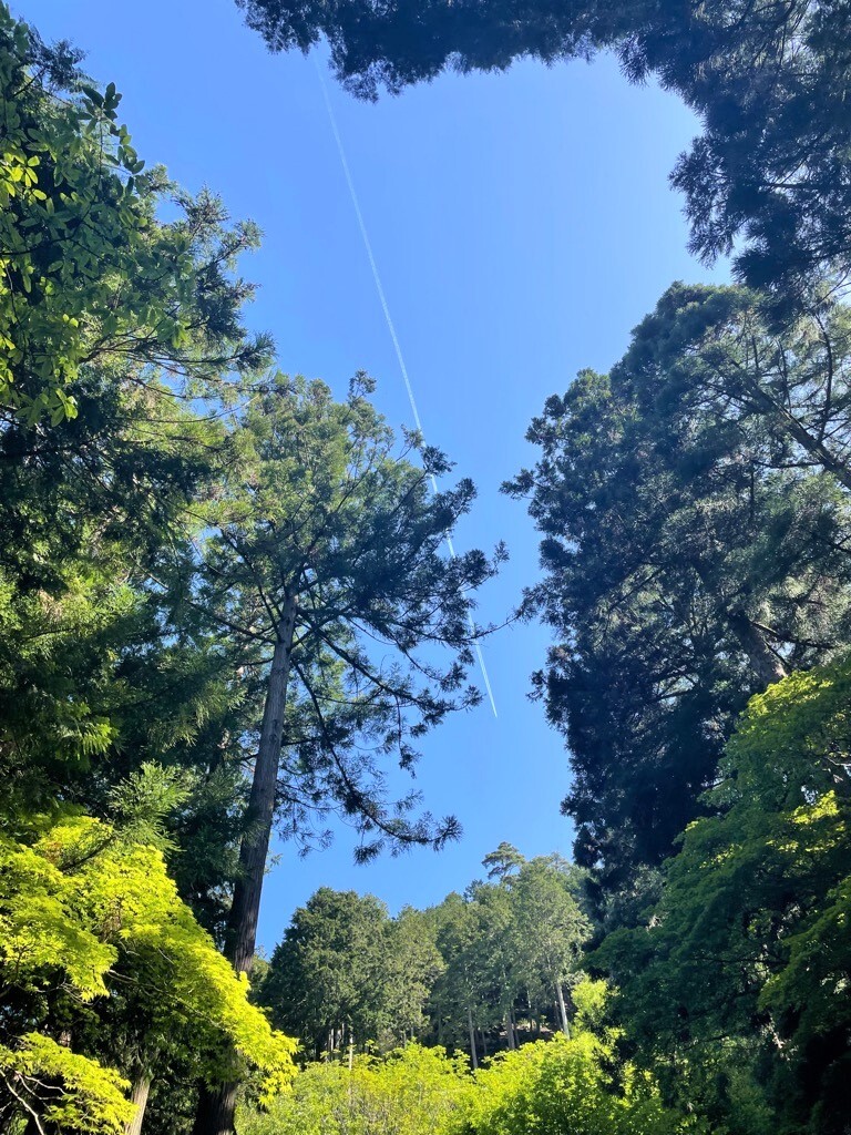 会場風景3