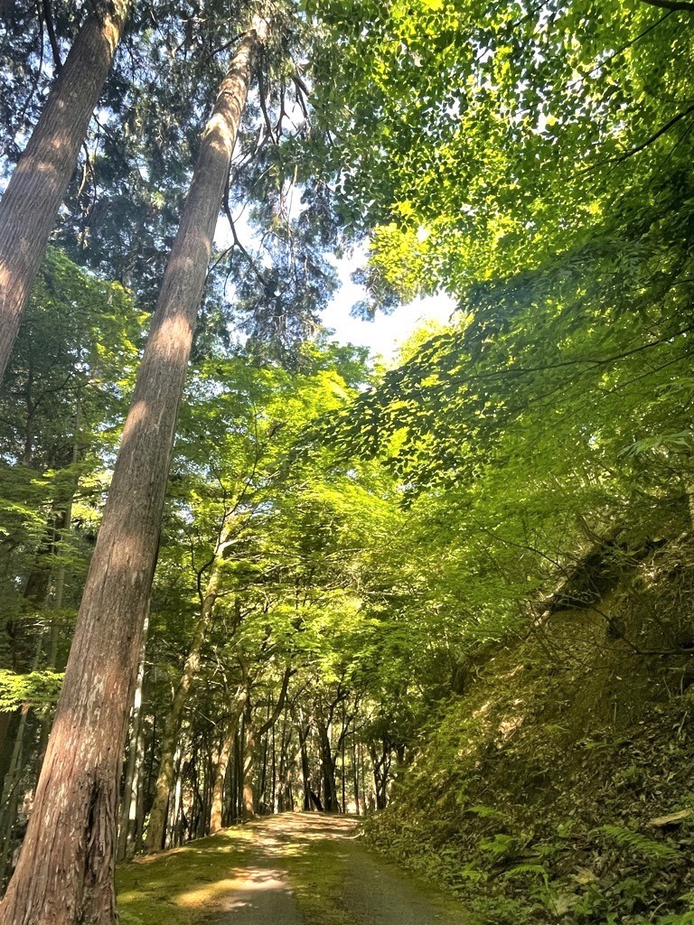 会場風景4