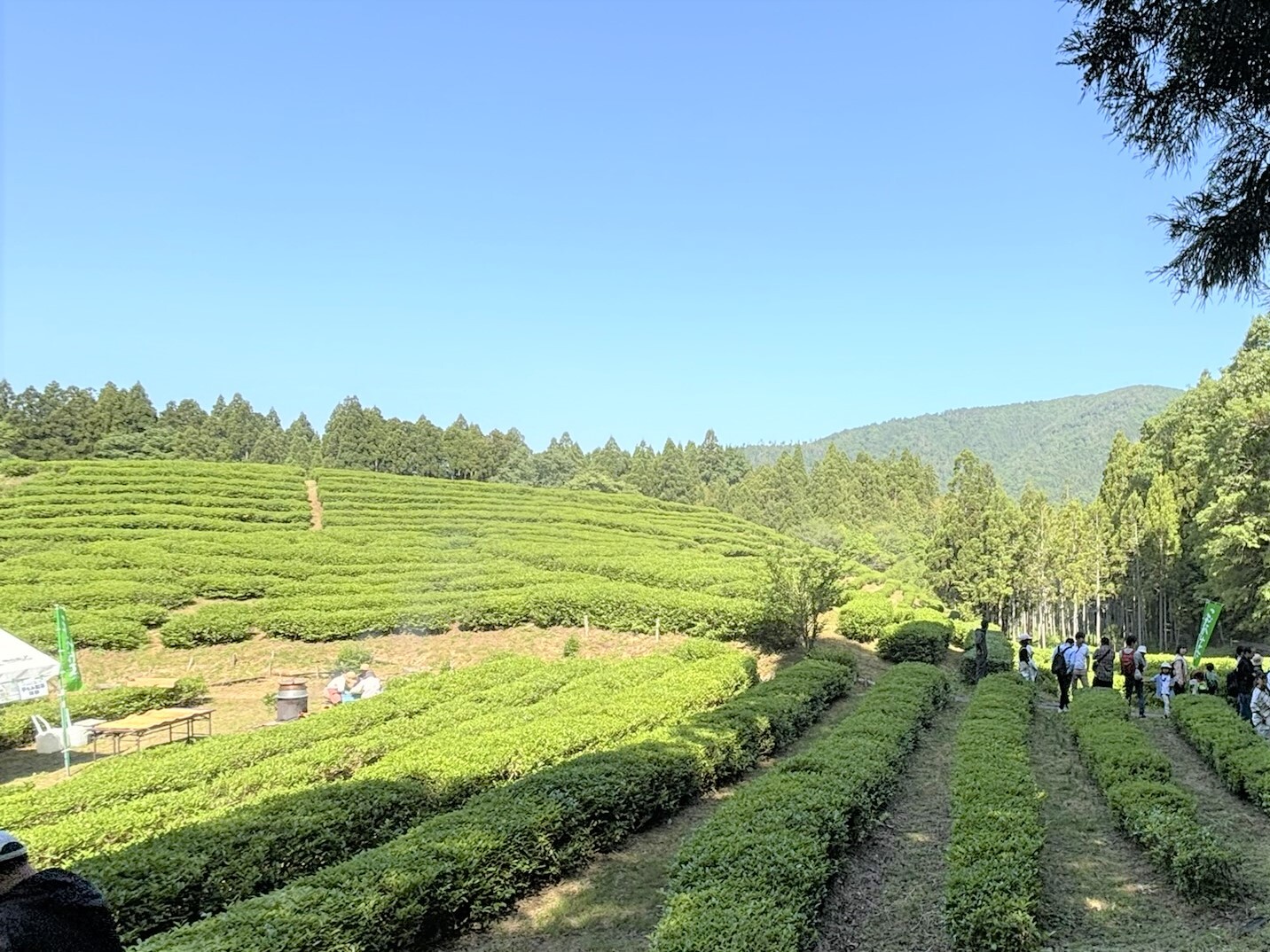 会場風景