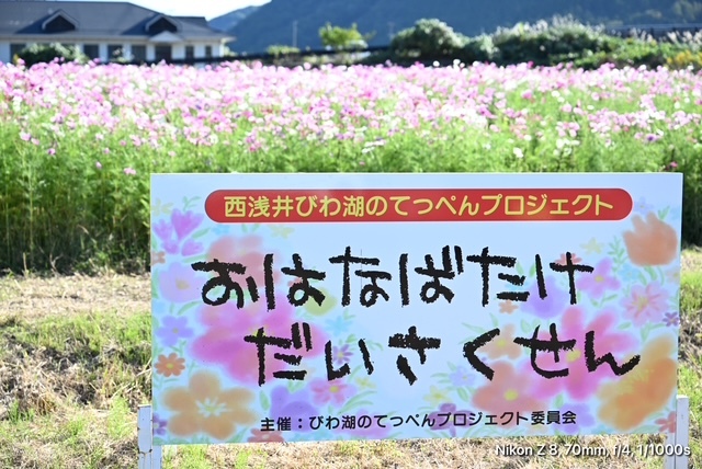 おはなばたけだいさくせん1
