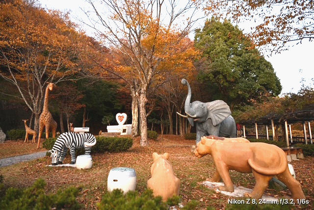 奥琵琶湖パークウエイ03