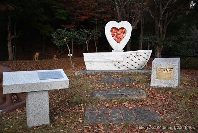 奥琵琶湖パークウエイ04