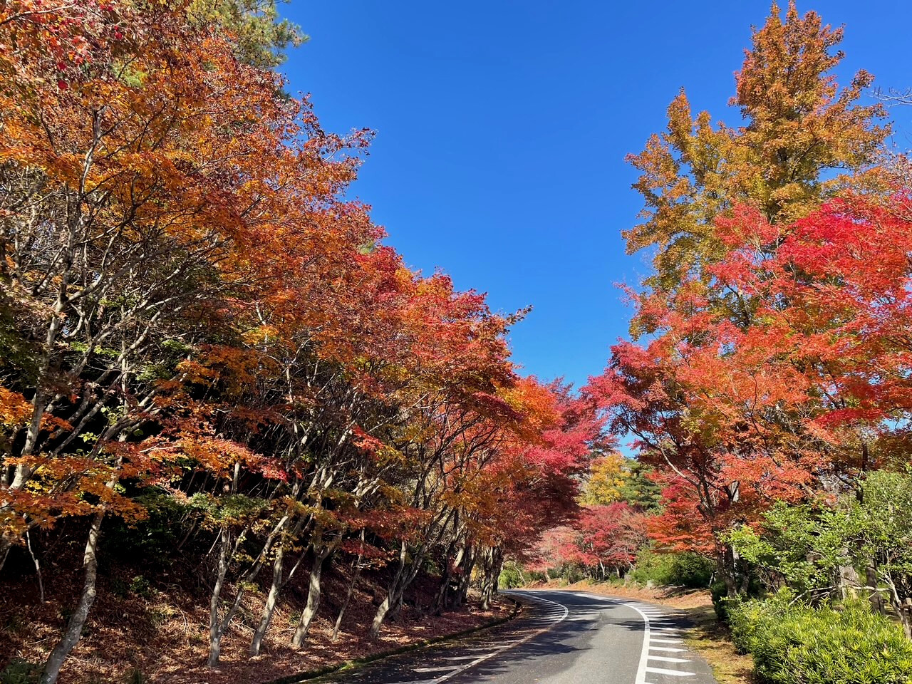 奥琵琶湖パークウエイ02