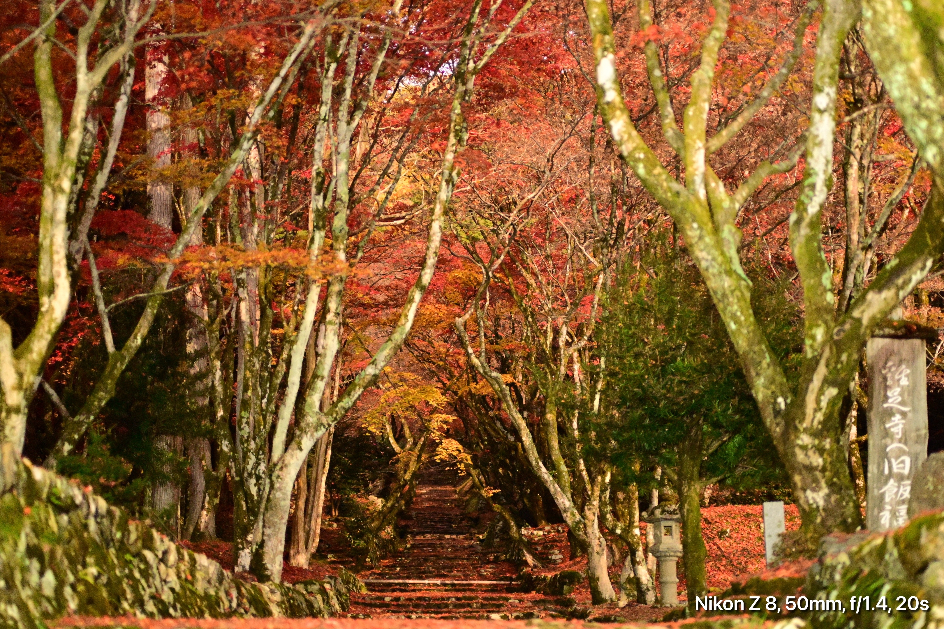 鶏足寺紅葉の様子