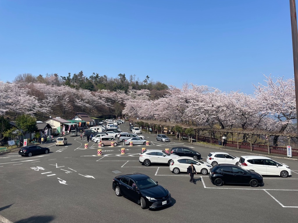 昨年の奥琵琶湖パークウエイの様子