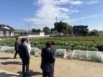 視察の様子
