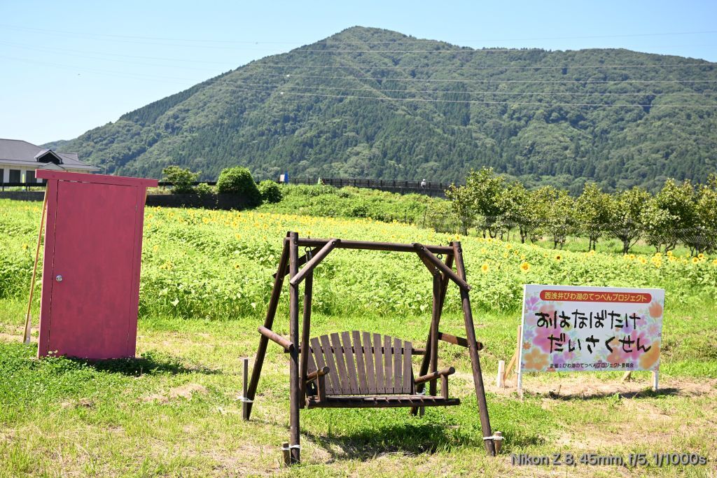 お花畑大作戦2