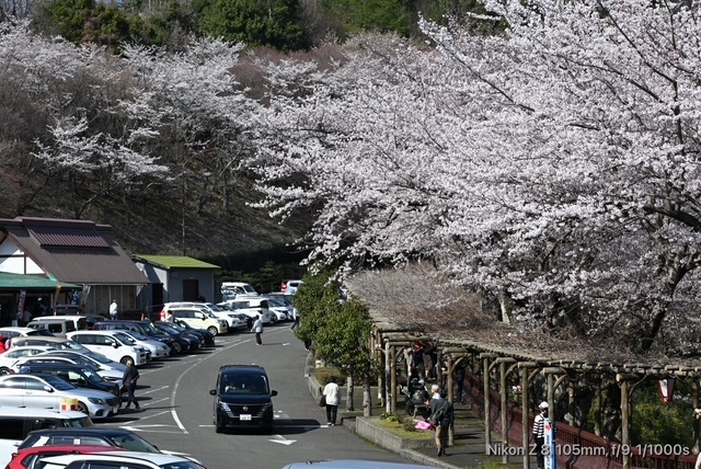 奥琵琶湖パークウエイ_03
