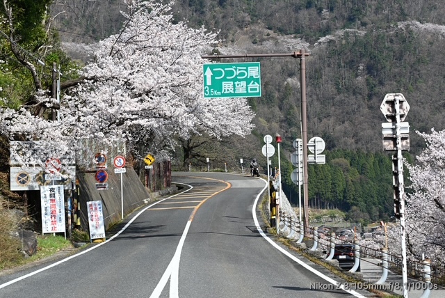 奥琵琶湖パークウエイ_01