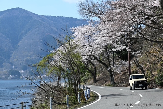 奥琵琶湖パークウエイ_04