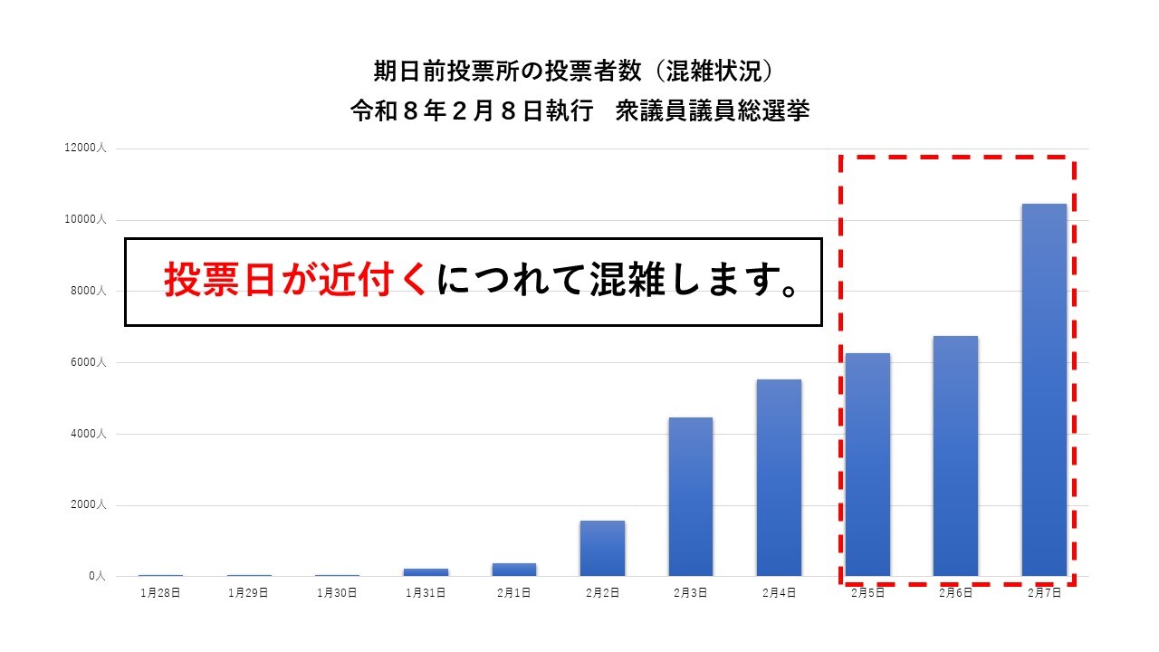 期日前投票所の投票者数（時間別）のグラフ