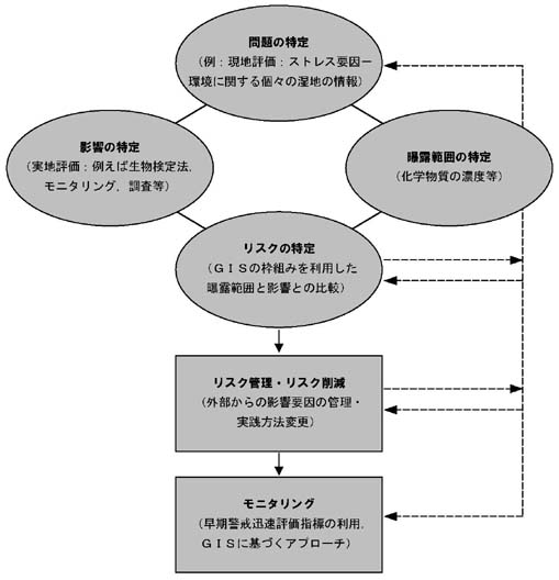 �}�P�D���n���X�N�]�����f��