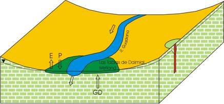 �}�T�i���j