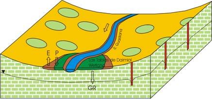 �}�T�i���j