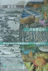 2005�N�v�v�c������|�X�^�[