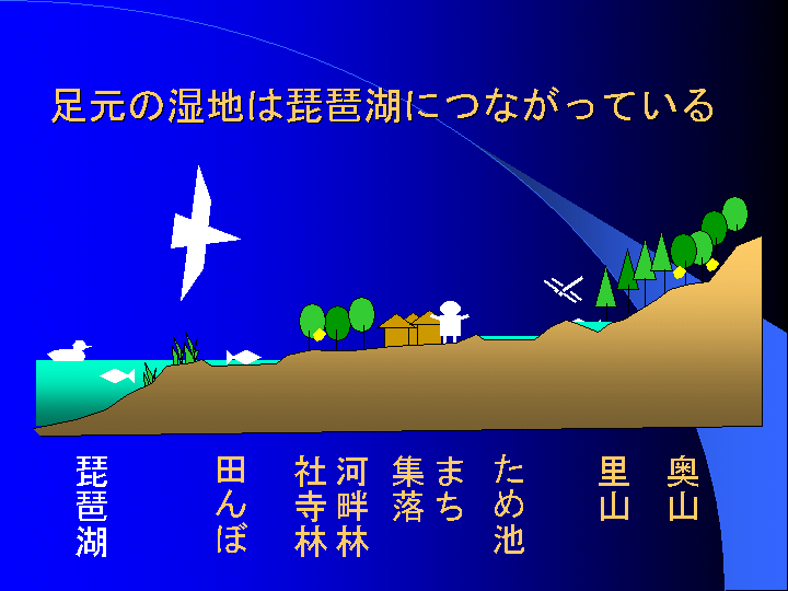 �X���C�h�u�����̎��n�͔��i�΂ɂȂ����Ă���v