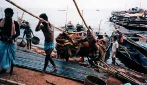 ���D�ł��ӂ�郊�`�J��