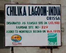 �`���J�ΊJ�����ЁiCDA�j