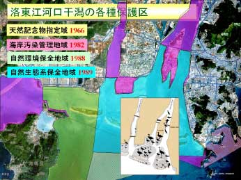 ��d�ɂ��ی�n��̖Ԃ��������������]�͌�