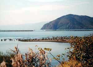 ���G�̎ʐ^�Q (11KB)